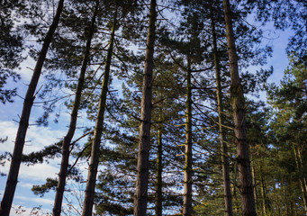 Obraz premium Countryside in Leicester