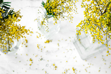 mimosa in glass vase on white background top view