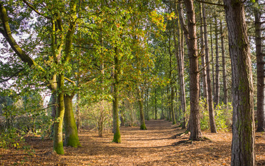 Countryside in Leicester