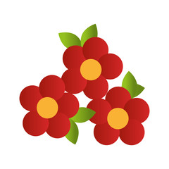 red flowers design with leaves vector illustration