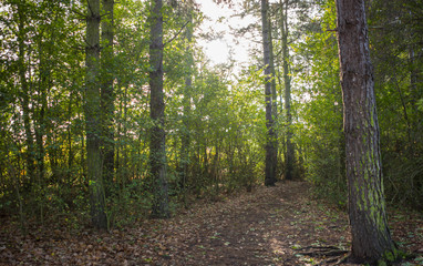 Leicester-shire countryside