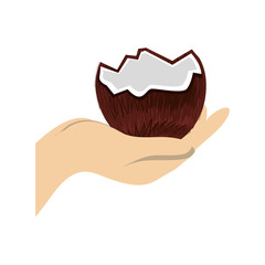 colorful silhouette hand holding coconut fruit vector illustration