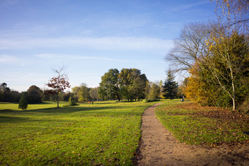 Leicester-shire countryside