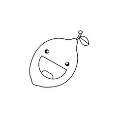 Line drawing fruit
