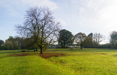 Leicester shire park