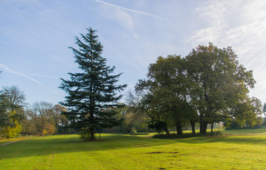 Leicester shire park