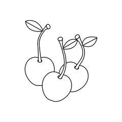 Line drawing fruit