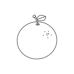 Line drawing fruit