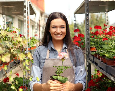 Pretty young florist holding pot with pink flower in greenhouse