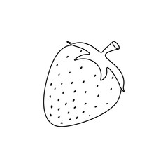 Line drawing fruit