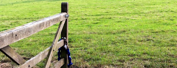 Leicester-shire countryside in the summertime 2016