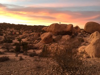 Desert Photos