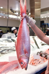Ruby snapper at a fish market