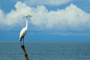 Livingstone, Guatemala