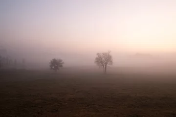 Fotobehang Chocoladebruin Soft focus beautiful sunrise and fog in the natural scene at Thailand.  © Nuttika