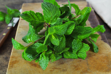 mint leaf, aromatic herbs, used as ingredients to make ice cream and herbal teas