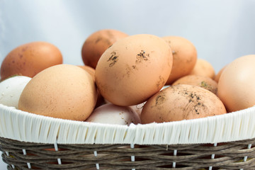 organic eggs for Easter