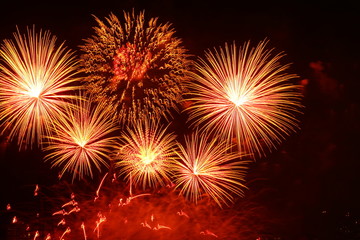 Obraz premium Downtown Vancouver Firework Show