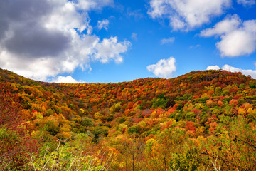 Fall on the Cherohala Skyway