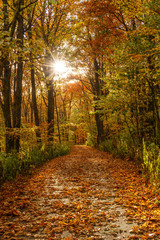 Driving the Cherohala Skyway