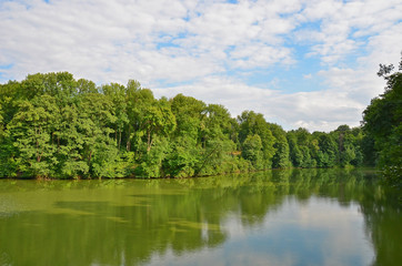 Fototapeta premium Green landscape with river and tree