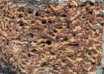 Old Historical Laterite Wall, Background/ Texture