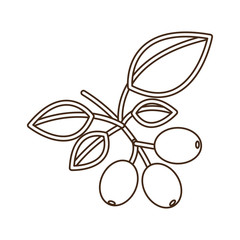 coffee tree icon image design, vector illustration