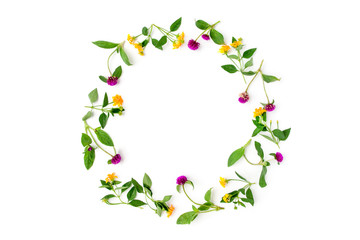 Frame Colorful bright pattern of meadow herbs and flowers on white background. Flat lay, top view.