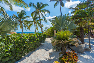 Flamingo beach at Aruba island