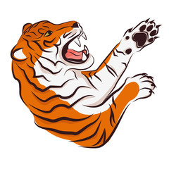 Angry tiger.  Vector illustration isolated on white background.