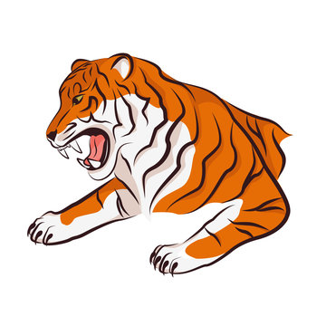 Angry tiger.  Vector illustration isolated on white background.