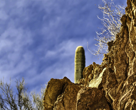 Saguaro Cactus Granite Outcrop