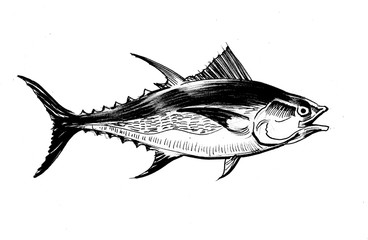 Tuna fish sketch