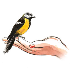Obraz premium Feeding a bird