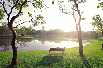 The landscapse nature and sunset in park