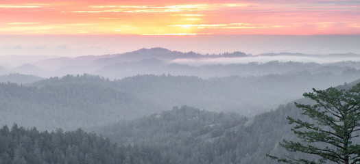 Magical Sunset Panorama over Santa Cruz Mountains. Russian Ridge Open Space Preserve. San Mateo...