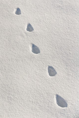 Fototapeta na wymiar abstract footprints on snow