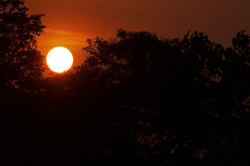 The sunrise beautiful and sky with cloud