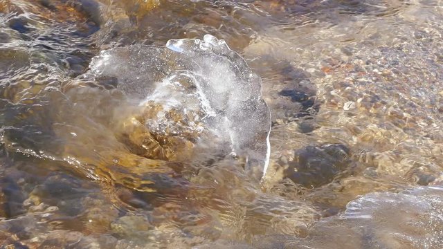 Ecological concept of nature purity. Crystal clear ice on a winter river.