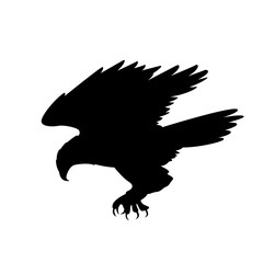 eagle vector illustration silhouette