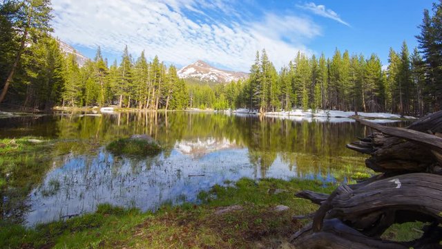 MoCo Tracking Timelapse of Driftwood at Alpine Lake in Yosemite -Pan Right-