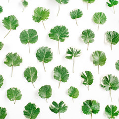 Obraz premium Floral pattern made of green leaves, branches on white background. Flat lay, top view. Leaf pattern texture.