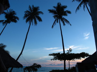 Silouhette of coconut trees by the sea taken from Koh Chang, Trat, Thailand