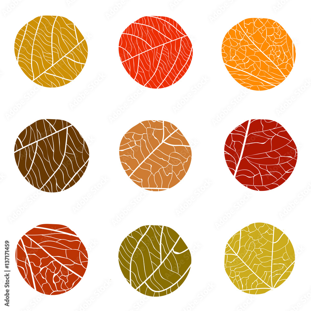 Poster autumnal vector pattern. curve circles with white veins inside. the colors of autumn leaves on a whi