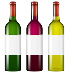 Bottle of wine. Vector illustrations.