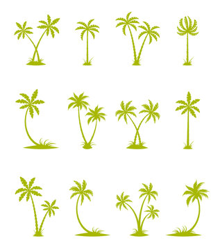 Set of vector silhouettes of palm trees.