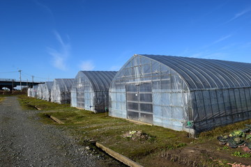 農業用ビニールハウス
