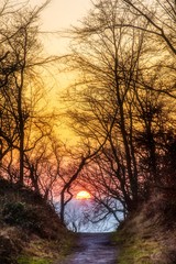 Fototapeta na wymiar Sonnenuntergang im Hohlweg