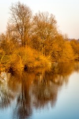 Spiegelung Bäume im Fluß