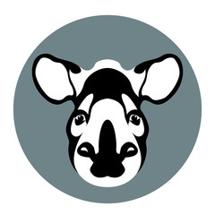 tapir head vector illustration style Flat
